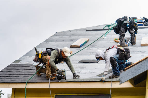 Professional Gutter Installation technician working in Rogers, NE